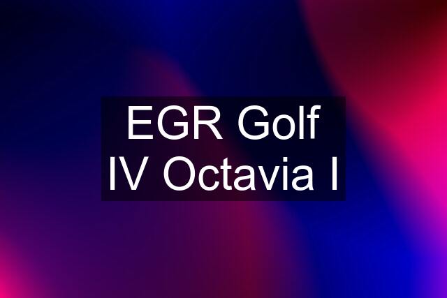 EGR Golf IV Octavia I