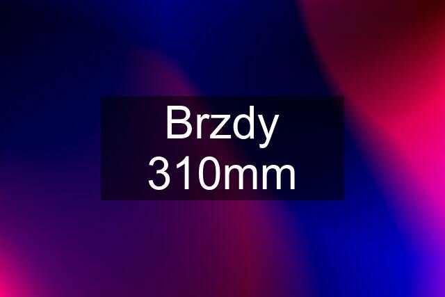 Brzdy 310mm