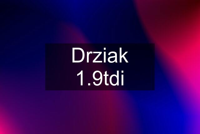 Drziak 1.9tdi