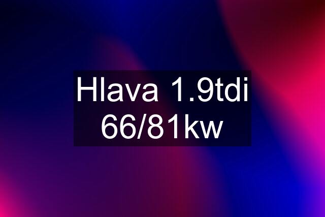 Hlava 1.9tdi 66/81kw