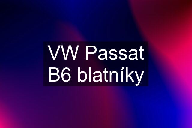 VW Passat B6 blatníky