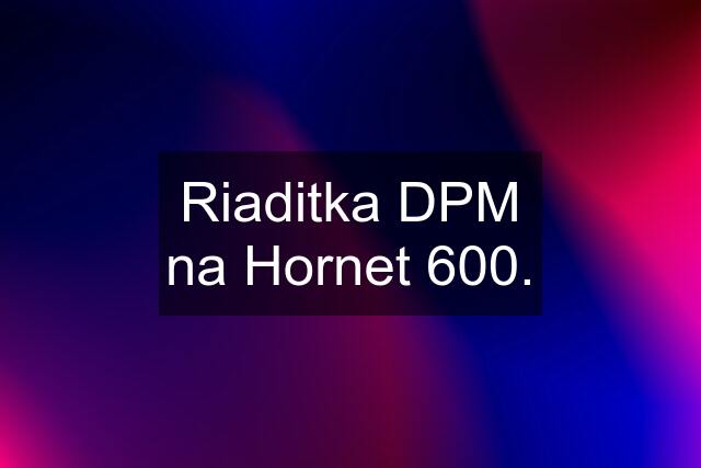 Riaditka DPM na Hornet 600.