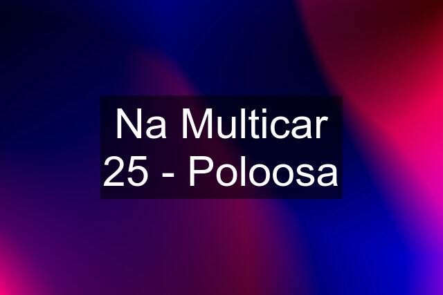 Na Multicar 25 - Poloosa