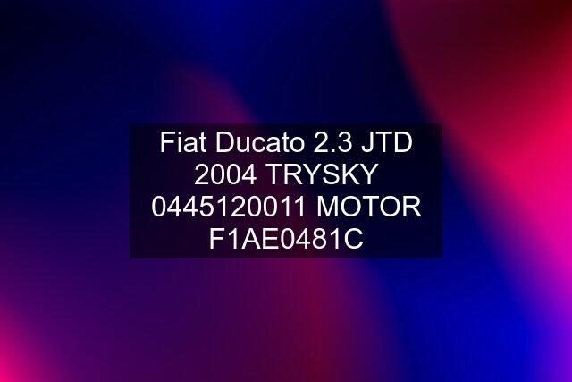 Fiat Ducato 2.3 JTD 2004 TRYSKY  MOTOR F1AE0481C