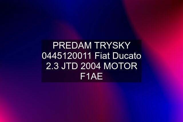 PREDAM TRYSKY  Fiat Ducato 2.3 JTD 2004 MOTOR F1AE