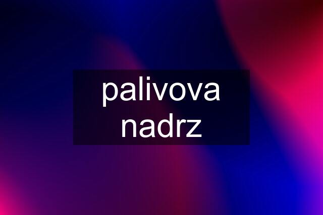 palivova nadrz