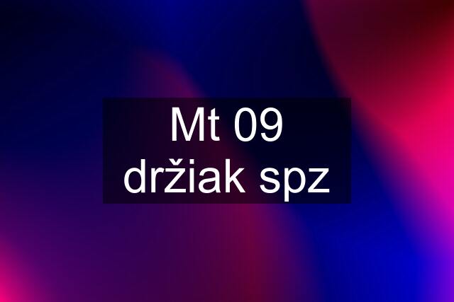 Mt 09 držiak spz