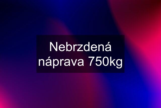 Nebrzdená náprava 750kg