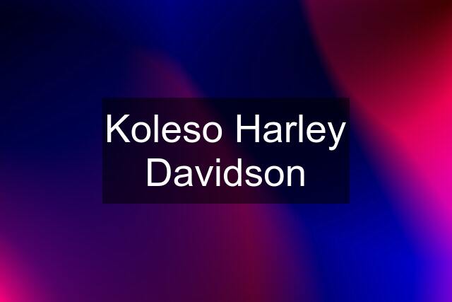 Koleso Harley Davidson