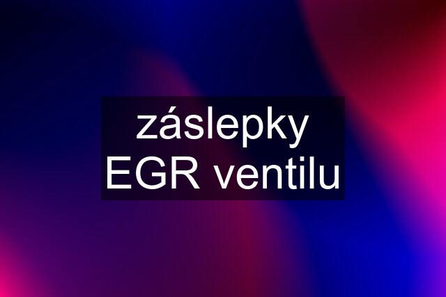 záslepky EGR ventilu