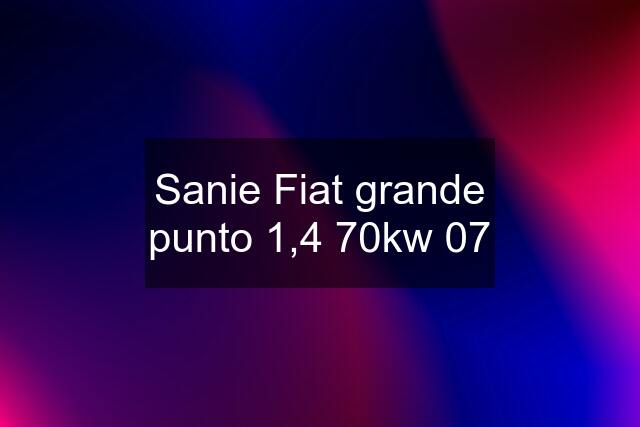 Sanie Fiat grande punto 1,4 70kw 07