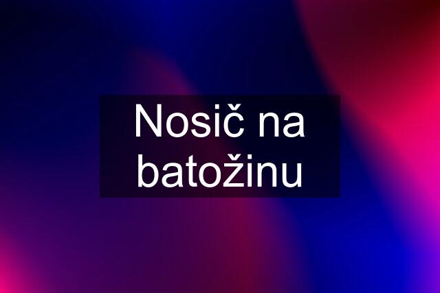 Nosič na batožinu