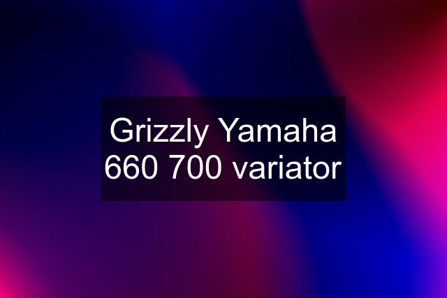 Grizzly Yamaha 660 700 variator