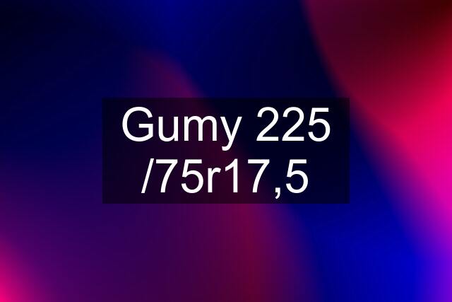 Gumy 225 /75r17,5