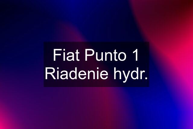 Fiat Punto 1 Riadenie hydr.