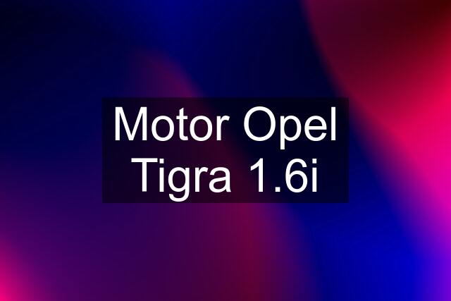 Motor Opel Tigra 1.6i