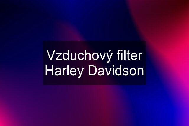 Vzduchový filter Harley Davidson