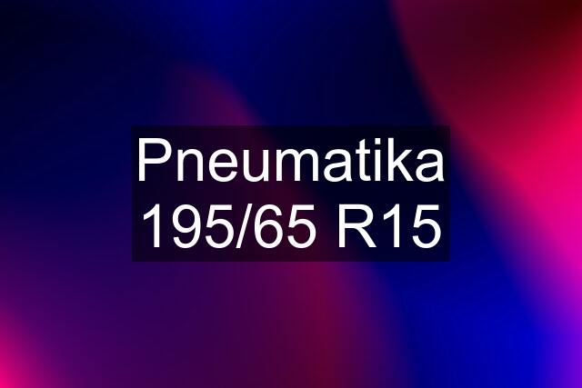 Pneumatika 195/65 R15