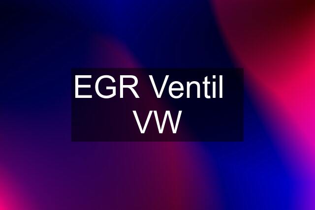 EGR Ventil   VW