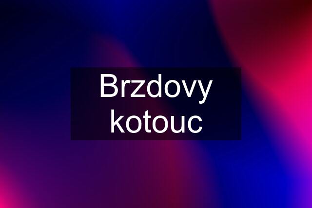 Brzdovy kotouc