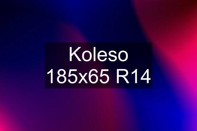 Koleso 185x65 R14