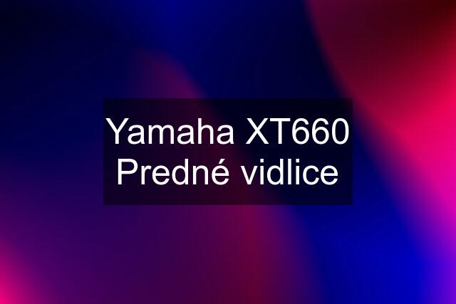 Yamaha XT660 Predné vidlice