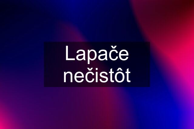 Lapače nečistôt