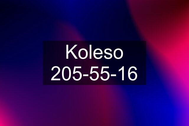 Koleso 205-55-16