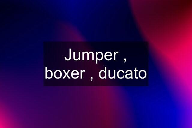 Jumper , boxer , ducato