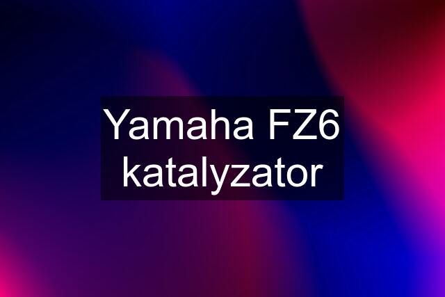 Yamaha FZ6 katalyzator