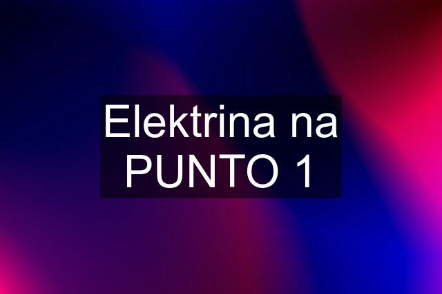 Elektrina na PUNTO 1