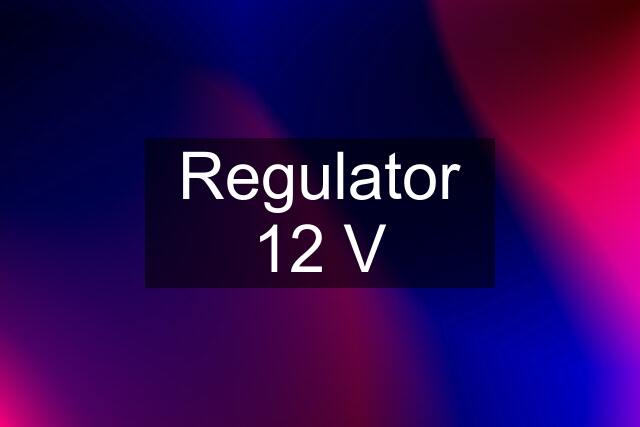 Regulator 12 V