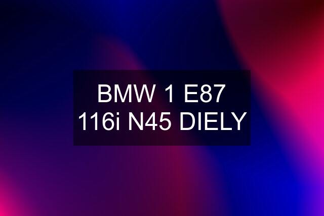 BMW 1 E87 116i N45 DIELY