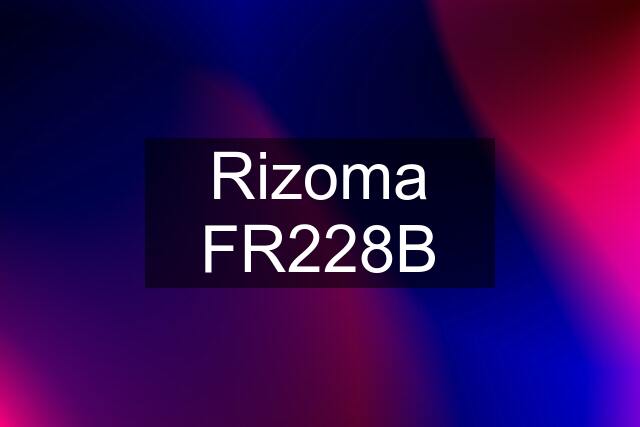 Rizoma FR228B