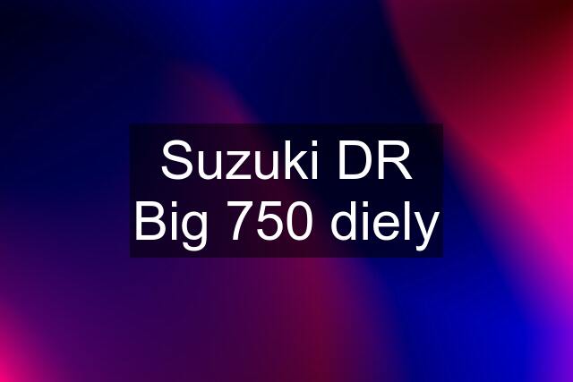 Suzuki DR Big 750 diely