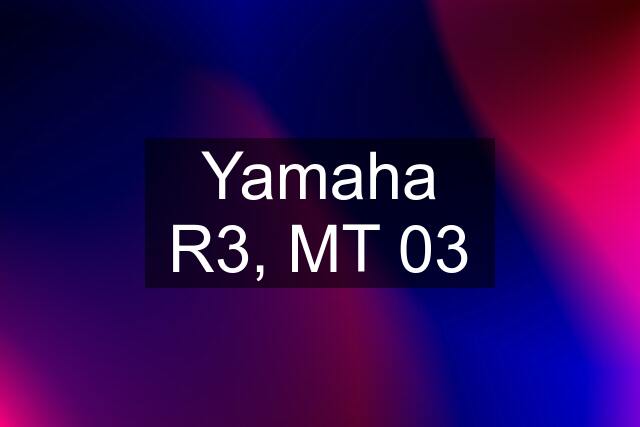 Yamaha R3, MT 03