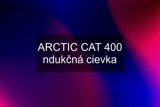 ARCTIC CAT 400 ndukčná cievka