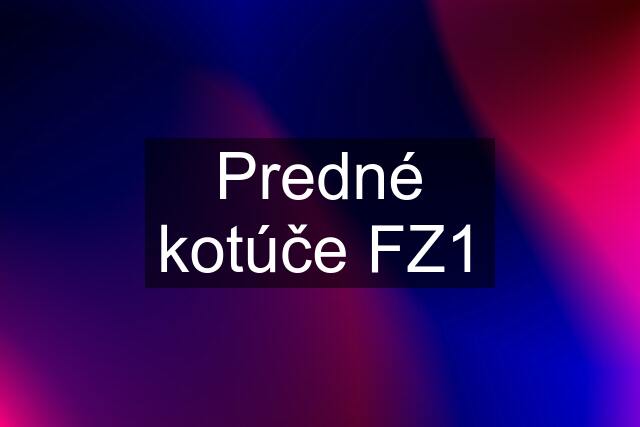 Predné kotúče FZ1