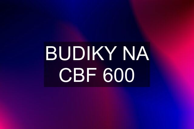 BUDIKY NA CBF 600