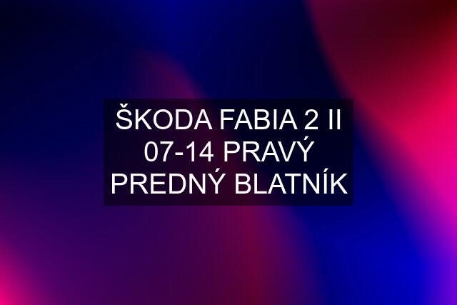 ŠKODA FABIA 2 II 07-14 PRAVÝ PREDNÝ BLATNÍK