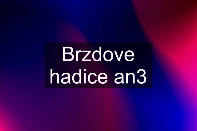 Brzdove hadice an3