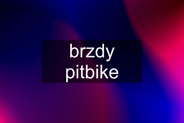 brzdy pitbike