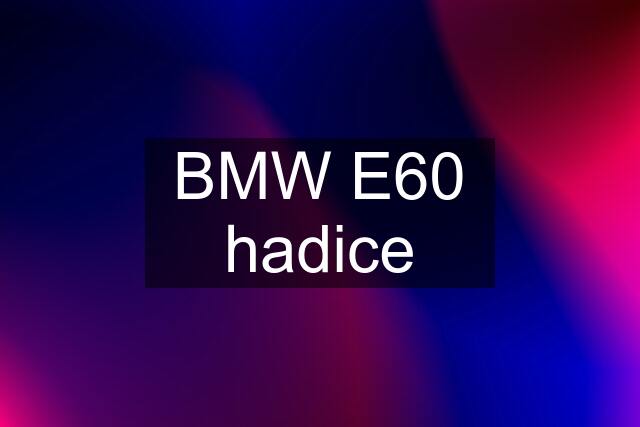 BMW E60 hadice