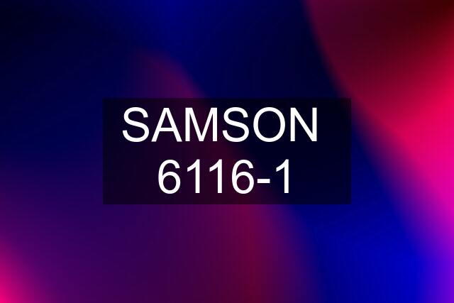 SAMSON  6116-1