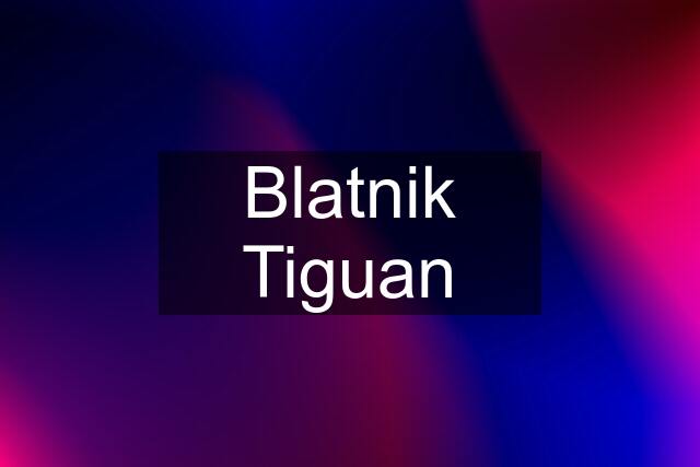 Blatnik Tiguan