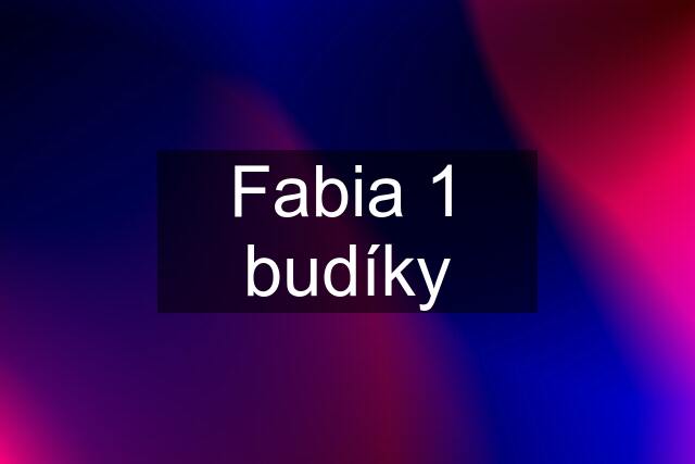 Fabia 1 budíky