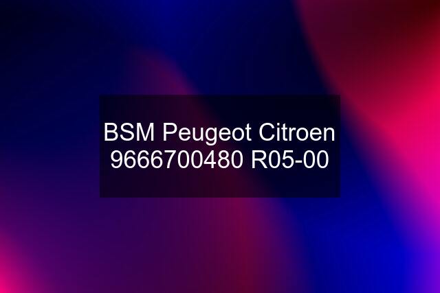 BSM Peugeot Citroen 9666700480 R05-00