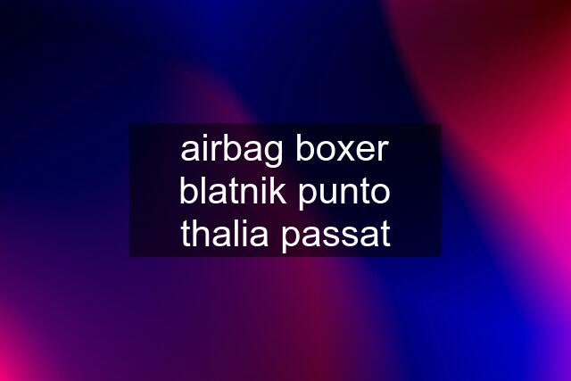 airbag boxer blatnik punto thalia passat