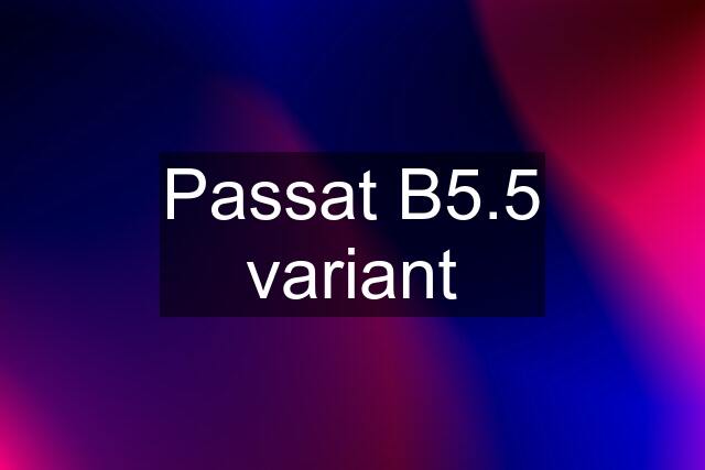 Passat B5.5 variant