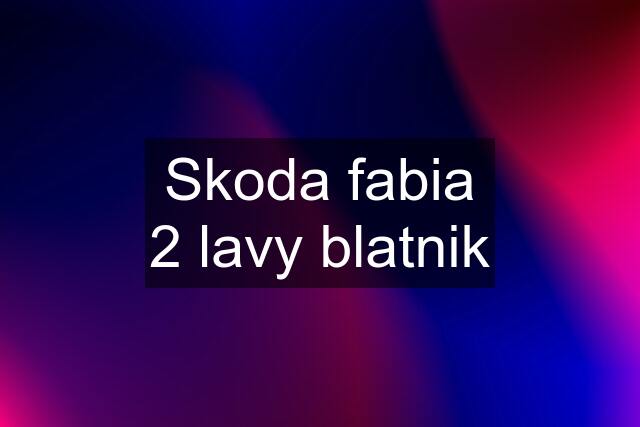 Skoda fabia 2 lavy blatnik